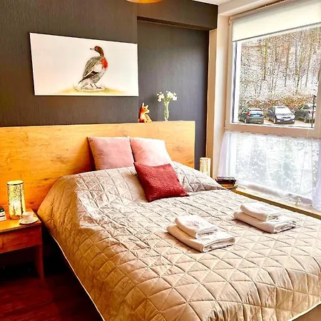 Apartament 06 Kozubnik - 5d Apartment Porąbka